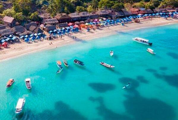 PLAYA TRANQUILA, ISLAS, PLANCTON - Image 3