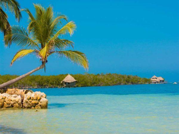 ISLA MUCURA - Image 2