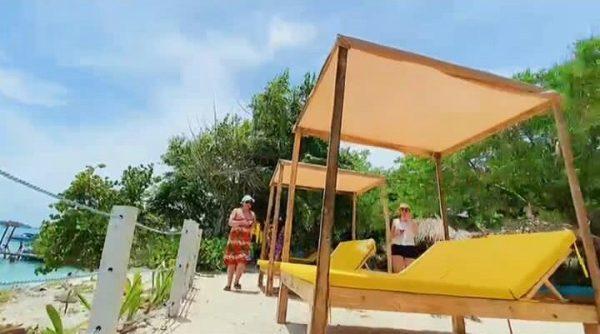 ISLA SOL Y PAPAYA - Image 2