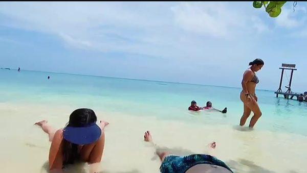 ISLA SOL Y PAPAYA - Image 5