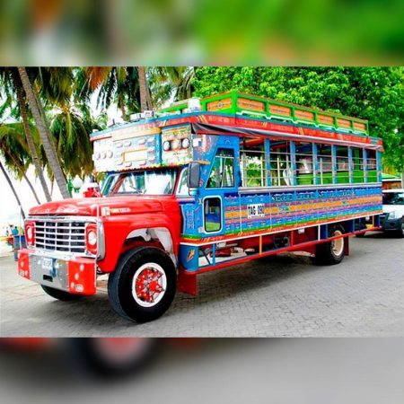 CITY TOUR EN CHIVA