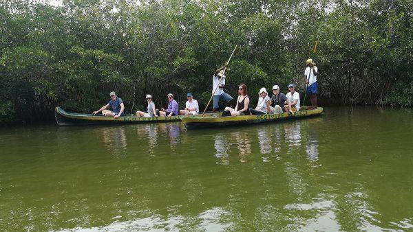 TOUR MANGLARES EXPERIENCIA ECOLOGICA - Image 2