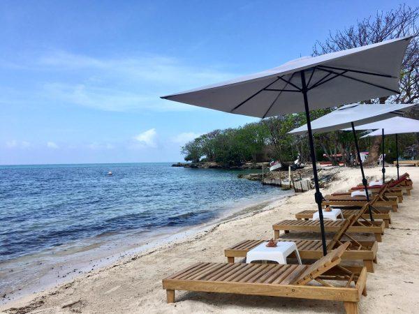 PLAYA CORAL - Image 4