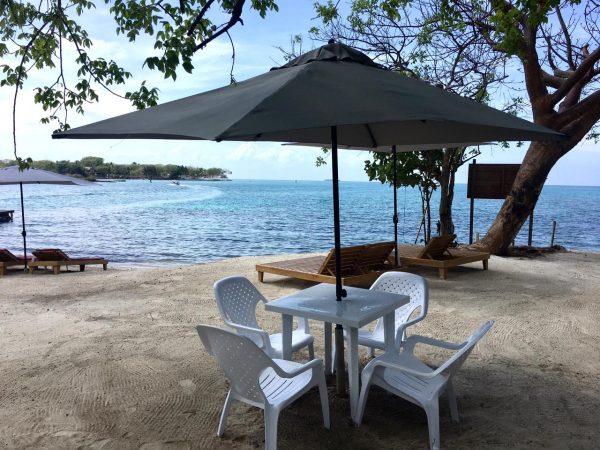 PLAYA CORAL - Image 6