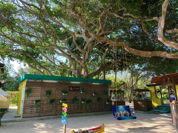 ISLA LUXURY BEACH AREA BEACH - Image 4