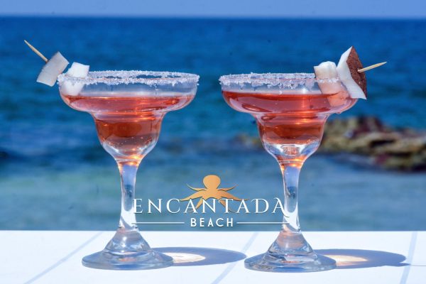 ENCANTADA - Image 5